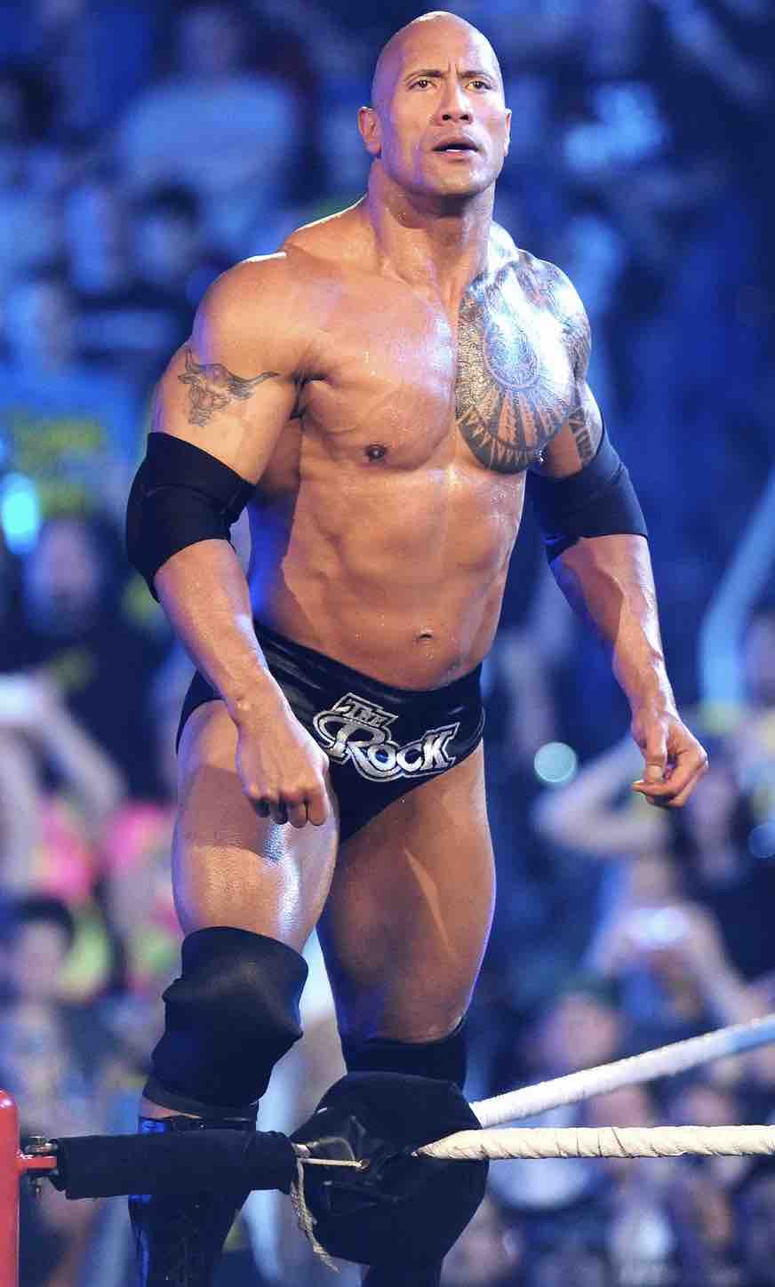 Will The Rock Wrestle&nbsp;Again?