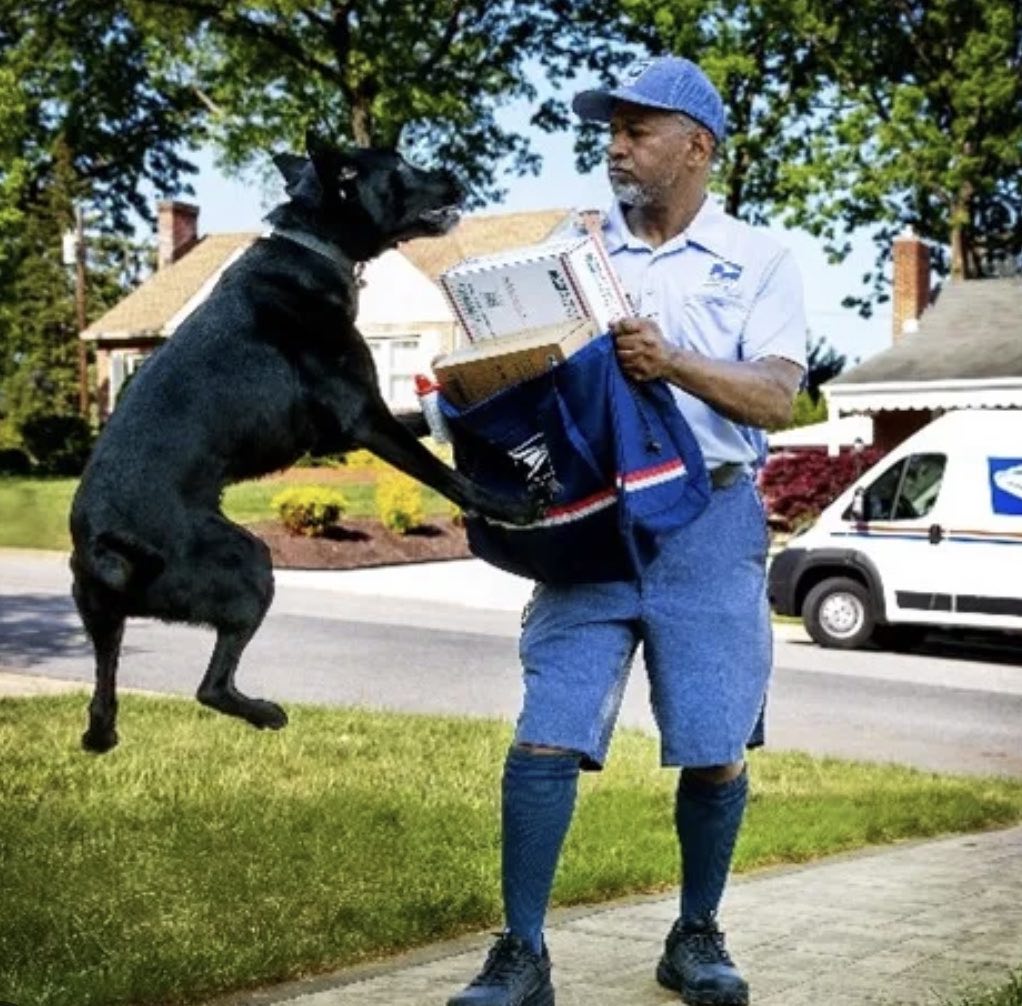 Mail Carriers Face Uptick in Dog Attacks Mail Carriers Face Uptick in Dog Attacks